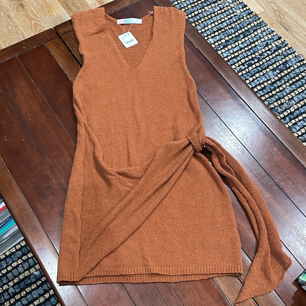 Free People Terracotta Knit Dress